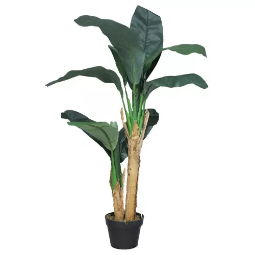 Bananenboom in pot 120x60x50cm